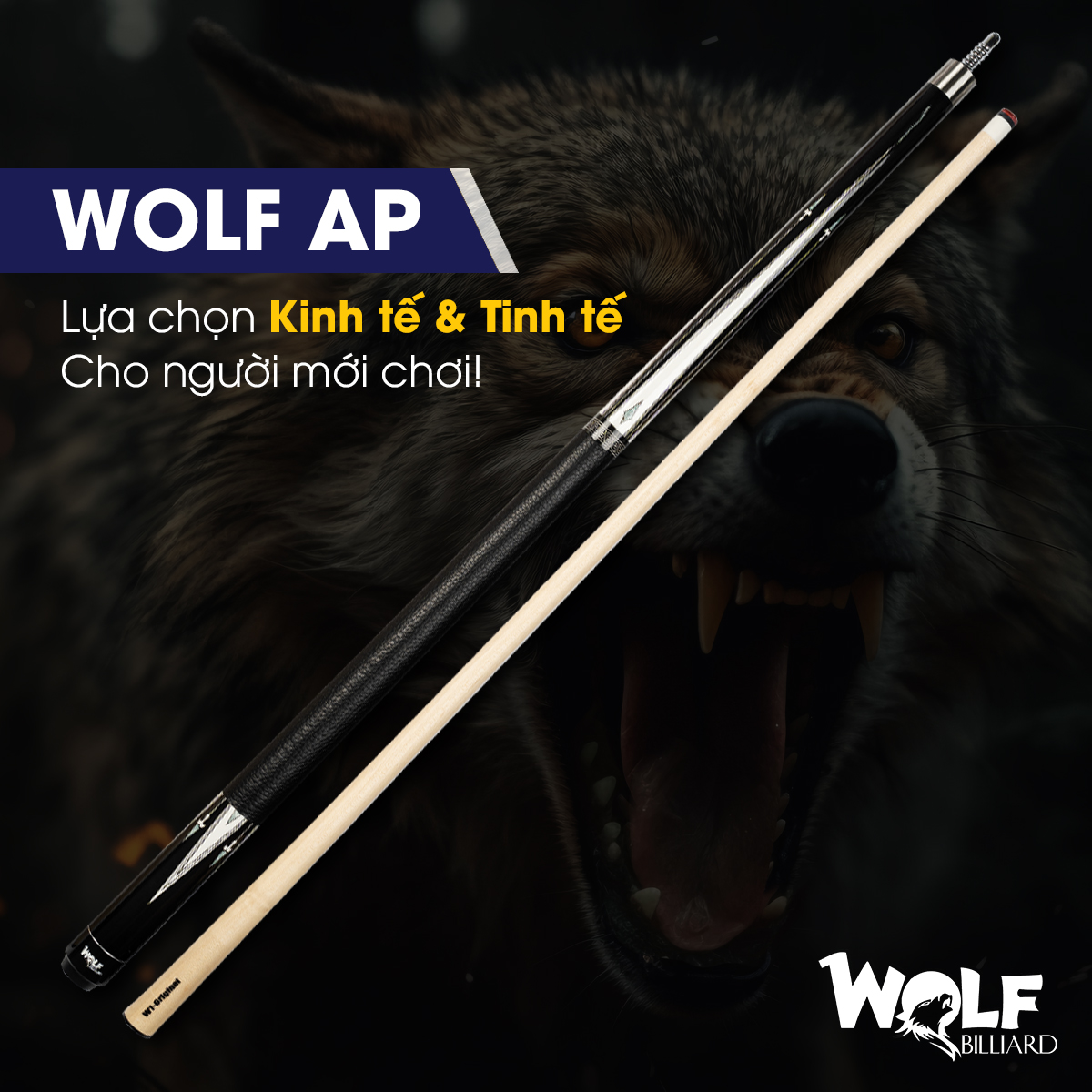 Review Cơ Bida Wolf AP: Vua Trong Tầm Giá 2 Triệu Review Cơ Bida Wolf AP: Vua Trong Tầm Giá 2 Triệu