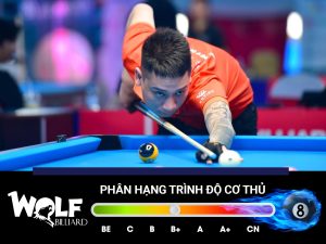 Xếp Hạng Trình Độ Cơ Thủ, Bạn Thuộc Hạng Nào?