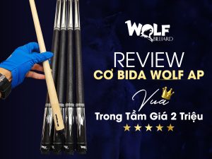 Review Cơ Bida Wolf AP: Vua Trong Tầm Giá 2 Triệu