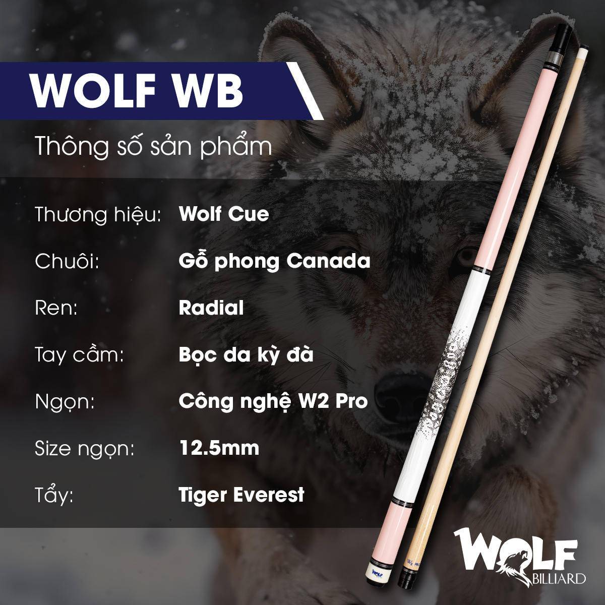 Review Cơ Bida Wolf WB: Sói Công Nghệ Đời Đầu! Review Cơ Bida Wolf WB: Sói Công Nghệ Đời Đầu!
