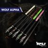 Wolf Alpha